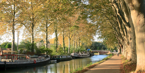 Toulouse Canal du Midi