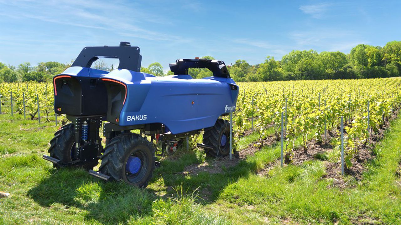 Vitibot robotique agricole à Reims