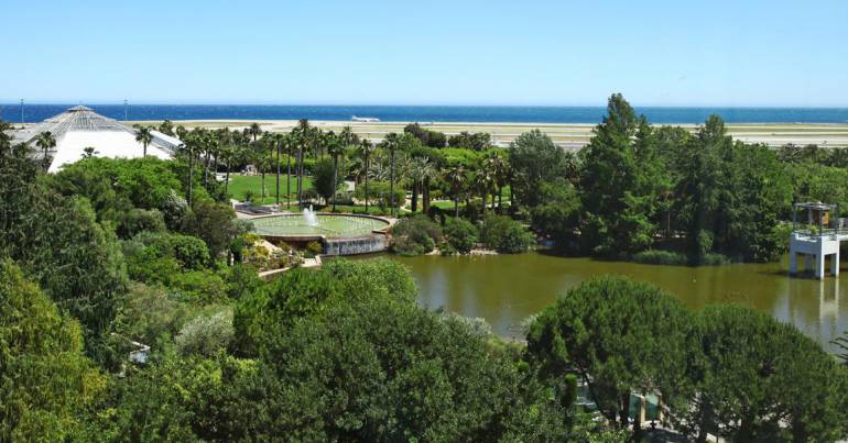 Le parc Phoenix de Nice, 7 hectares de verdure en plein cœur de ville.
