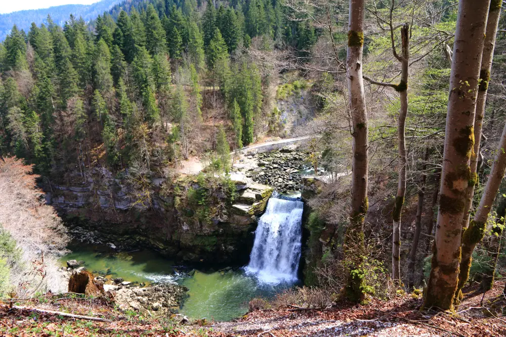 vue de la cascade du Saut du Doubs.