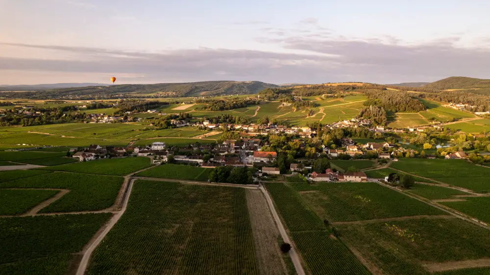 vue du vignoble dans le grand chalon