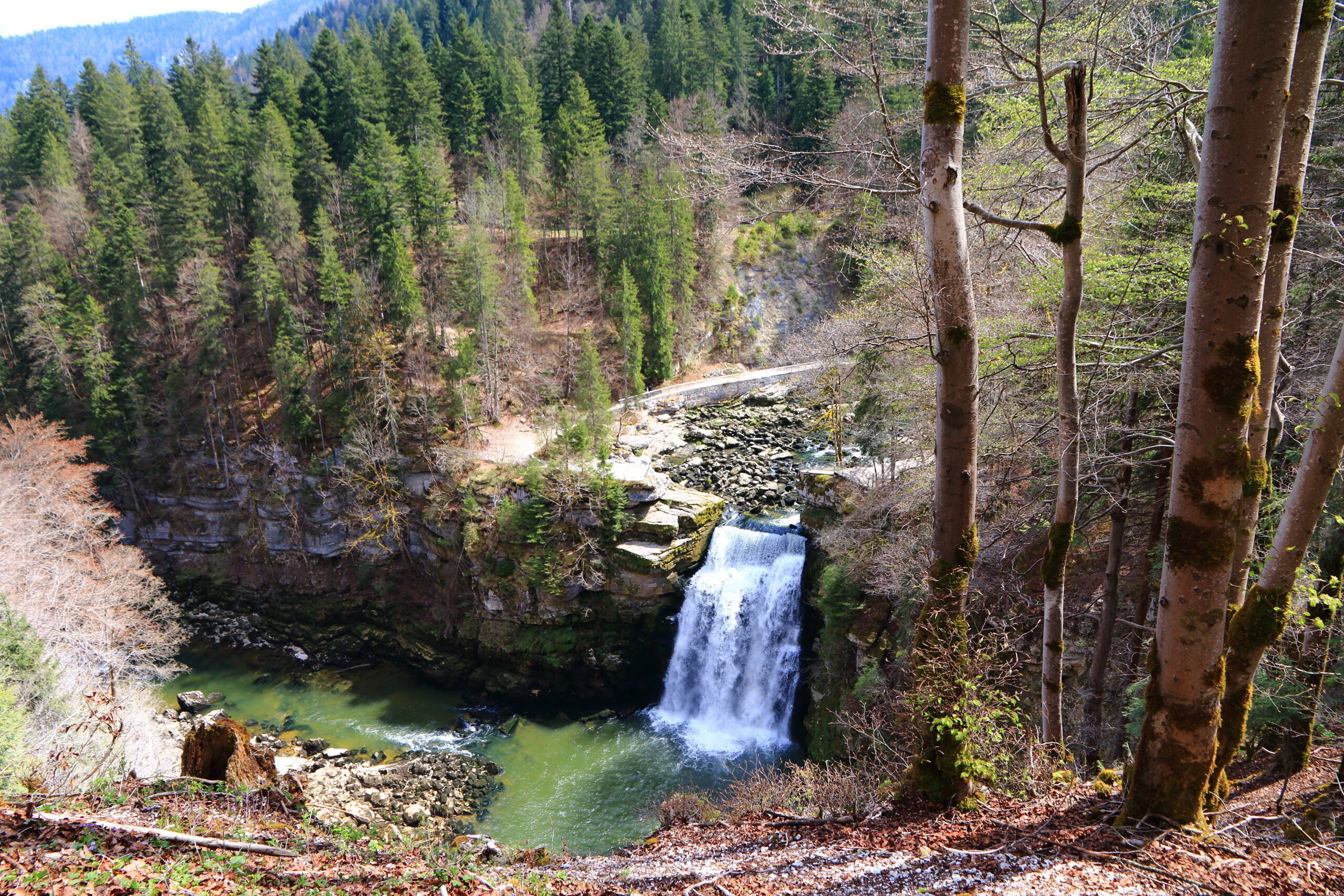 Vue sur la Cascade du Saut du Doubs