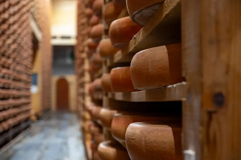 cave de vieillissement du Comté